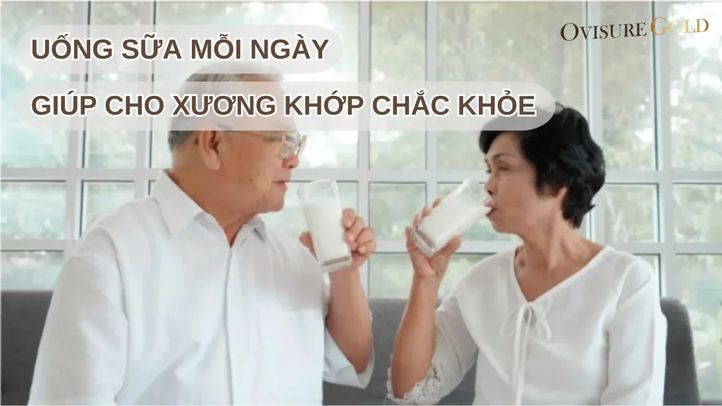 Tác Dụng Của Việc Uống Sữa Mỗi Ngày Để Xương Khớp Chắc Khỏe