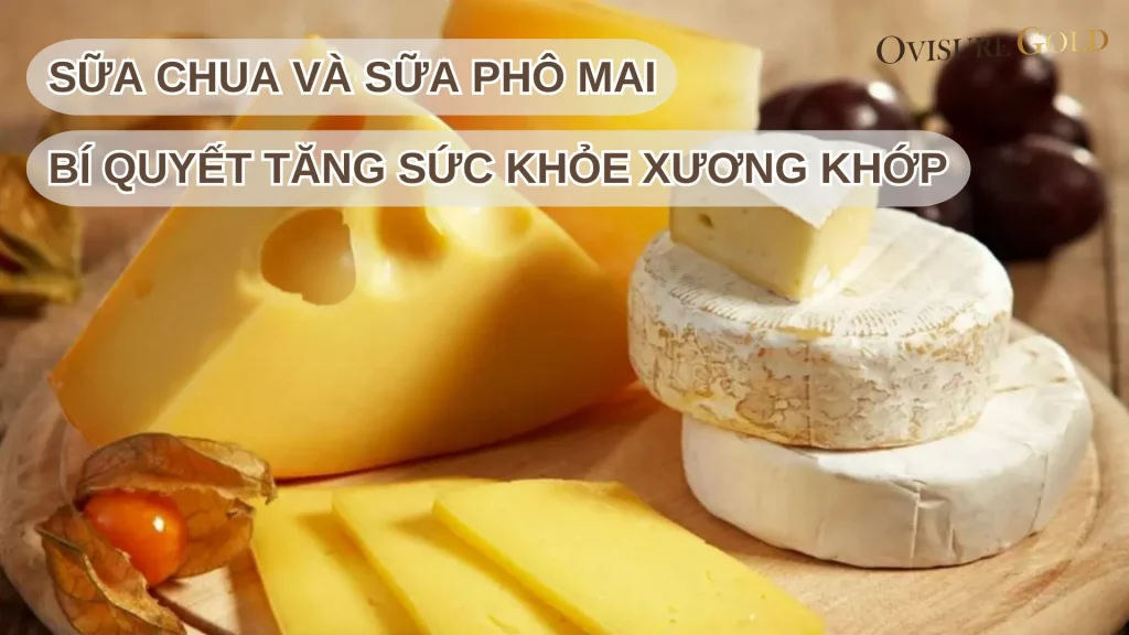 Sữa Chua Và Sữa Phô Mai: "Bí Quyết Chắc Khỏe Xương Khớp"