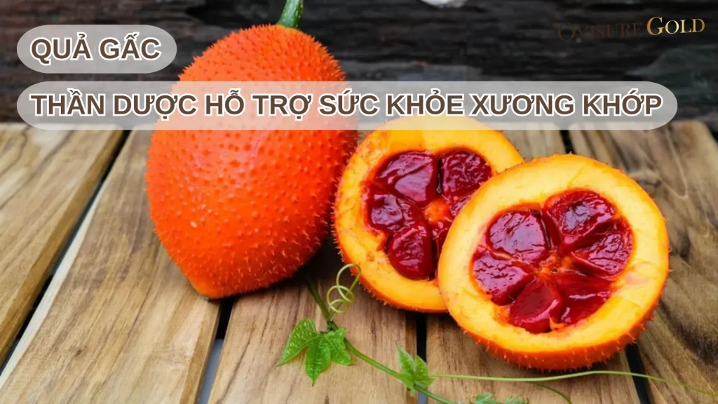 Quả Gấc - Thần Dược Cho Xương Khớp Dẻo Dai Chắc Khỏe